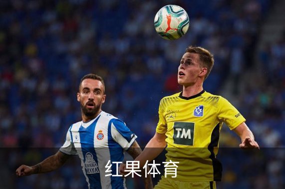 关于红果体育